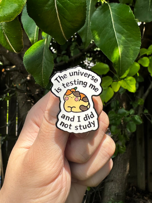 Universe Pin