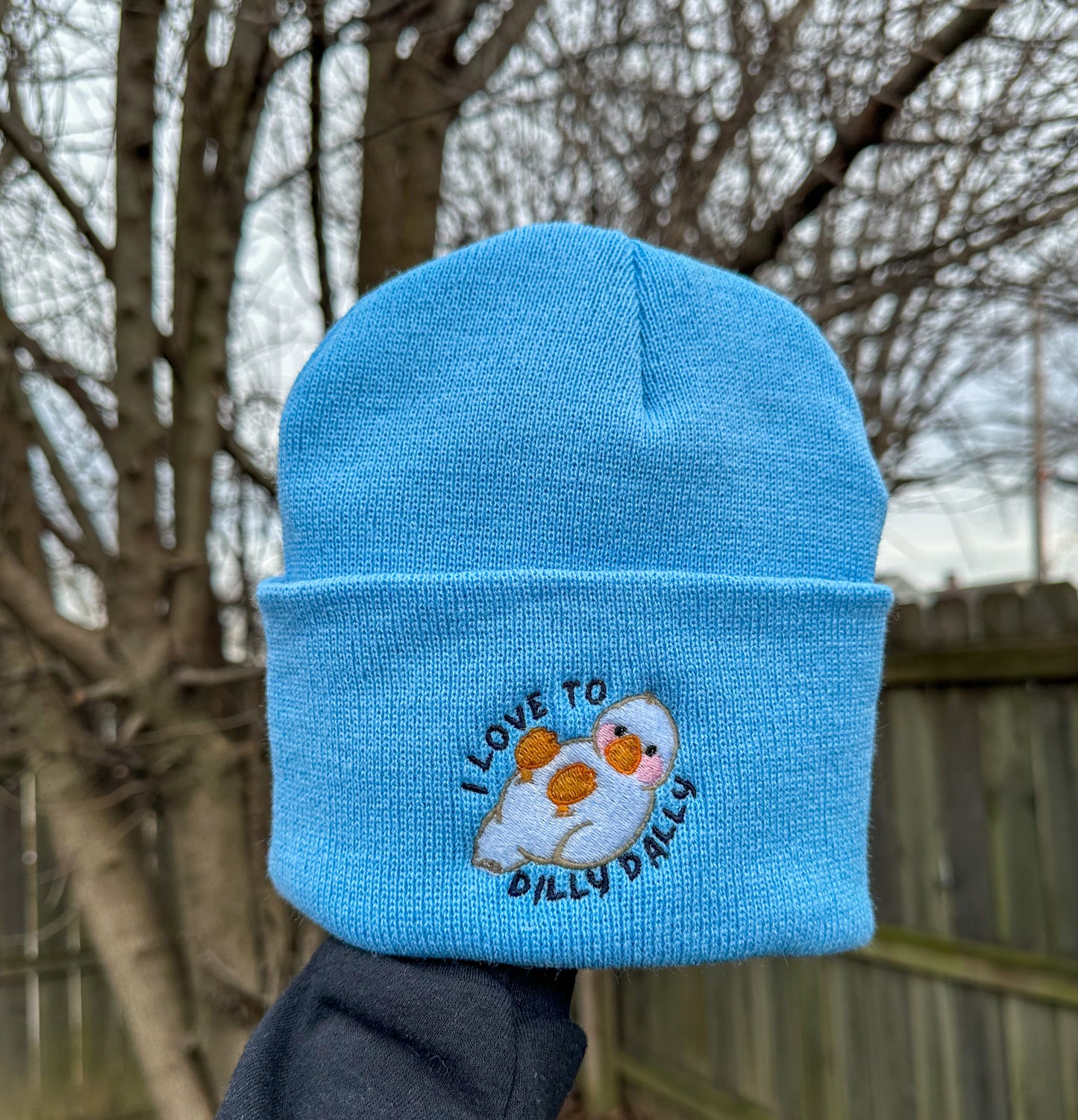 Dilly Dally Hat
