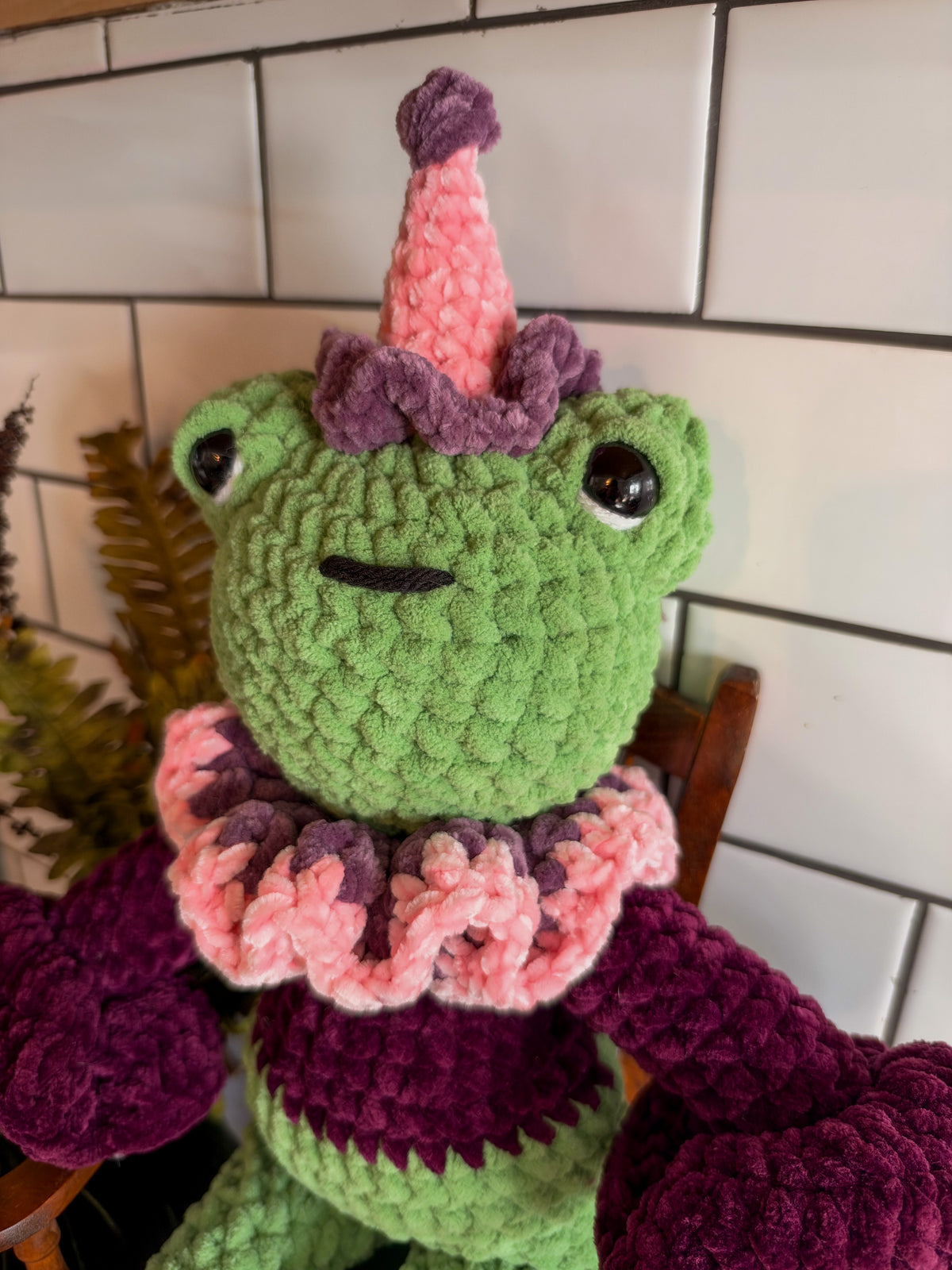 Aster The Frog
